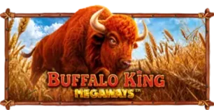 ภาพเกม Buffalo King Megaways ที่ 1allin รวบรวมไว้